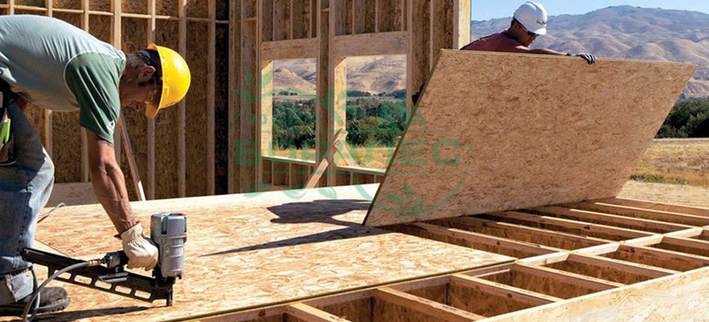 ОСП-3 1250*2500*22мм Кроношпан (Могилев) (32л/под) osb