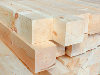 Сухая (Сосна, Ель)